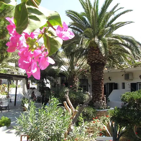 Eden Ios Hotel Mylopotas